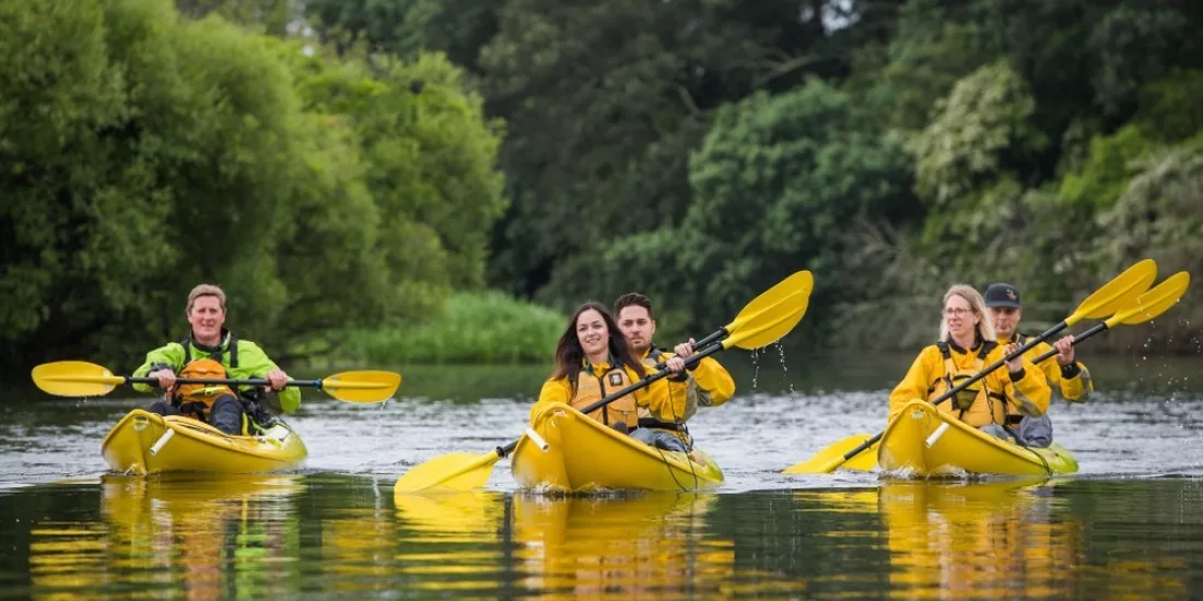 Group of kayakers paddling together on calm waters surrounded by trees in Waikato, New Zealand