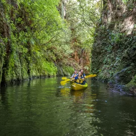 Group of people kayaking through a lush gorge on Lake Karapiro near Cambridge in Waikato