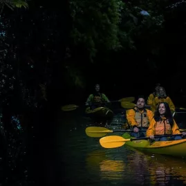Glowworm kayak tour with Riverside Adventures on a calm Waikato stream at night