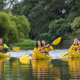Group of kayakers paddling together on calm waters surrounded by trees in Waikato, New Zealand