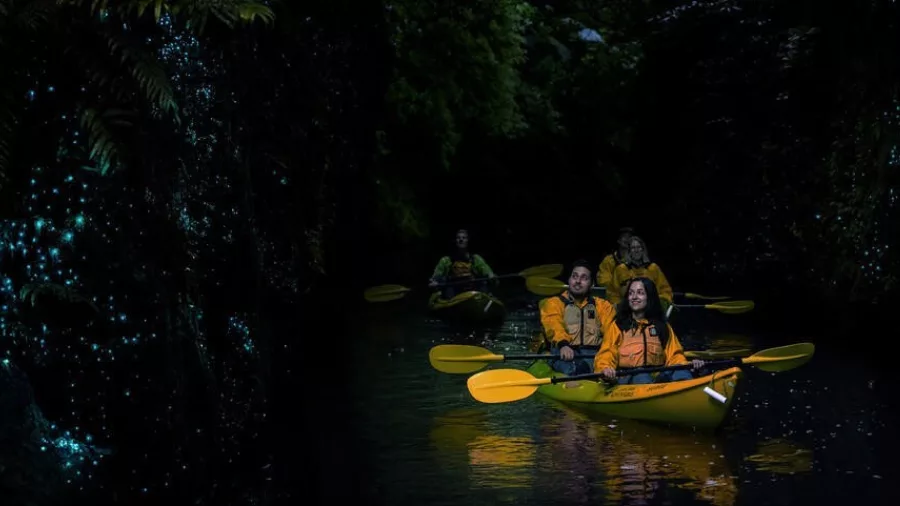 Glowworm kayak tour with Riverside Adventures on a calm Waikato stream at night