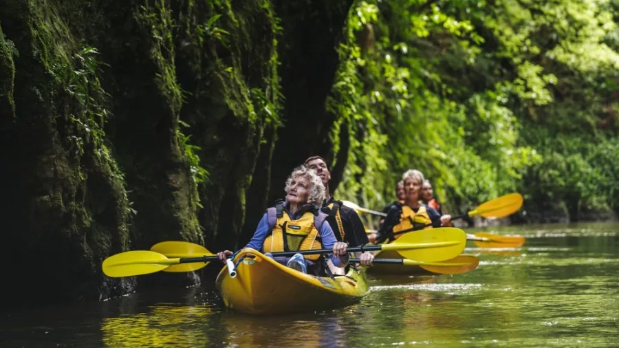 Older adults kayaking through narrow gorge surrounded by lush forest in Waikato, New Zealand