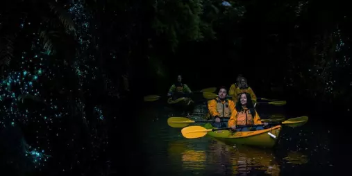 Glowworm kayak tour with Riverside Adventures on a calm Waikato stream at night