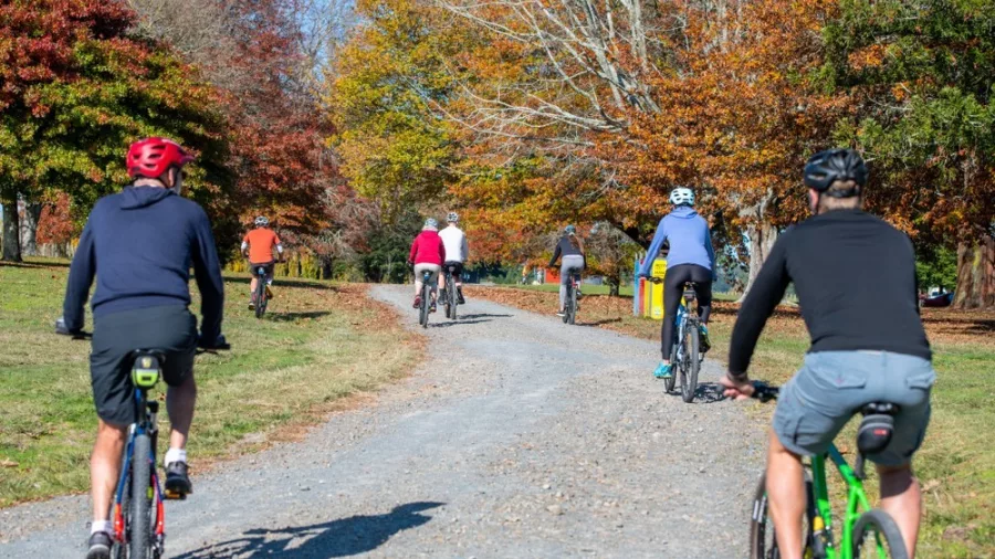 Group of cyclists on a gravel path lined with autumn trees along the Te Awa trail