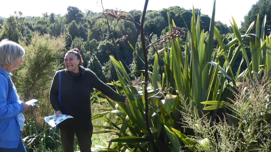 Jamie Hiriaki guiding a Rongoā Rākau walk beside a harakeke plant at Sanctuary Mountain