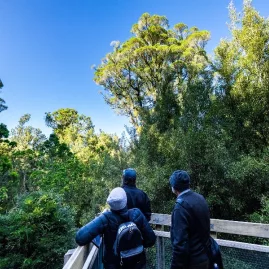 Visitors on a flora workshop walk at Sanctuary Mountain Maungatautari