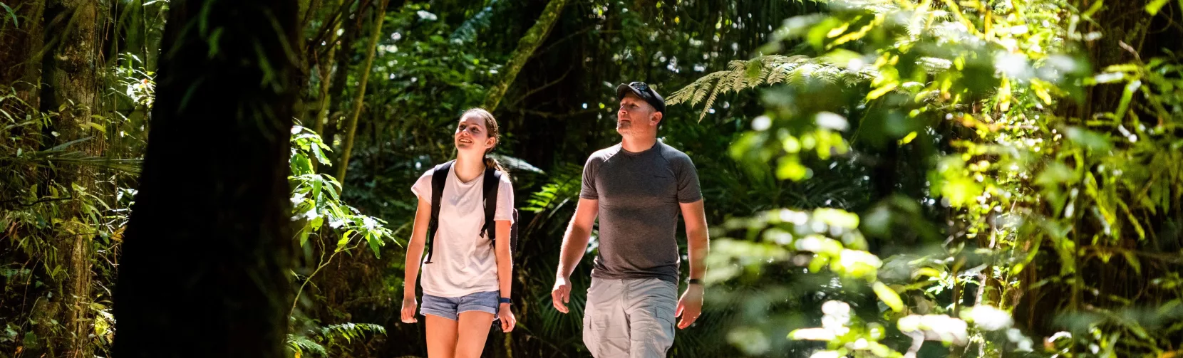 Two people walking through the forest track at Sanctuary Mountain Maungatautari in Waikato