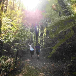 Two people walking through the forest track at Sanctuary Mountain Maungatautari in Waikato