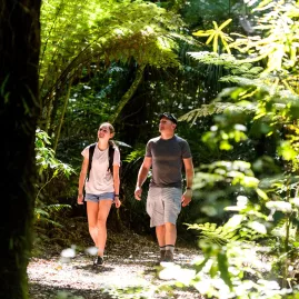 Two people walking through the forest track at Sanctuary Mountain Maungatautari in Waikato