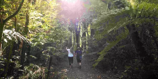 Two people walking through the forest track at Sanctuary Mountain Maungatautari in Waikato