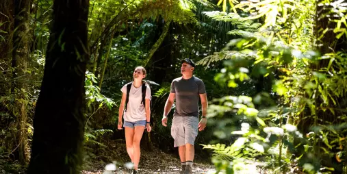 Two people walking through the forest track at Sanctuary Mountain Maungatautari in Waikato