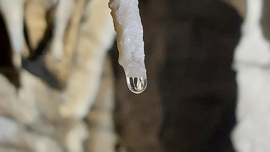 Close-up of a water droplet forming on a stalactite inside a cave