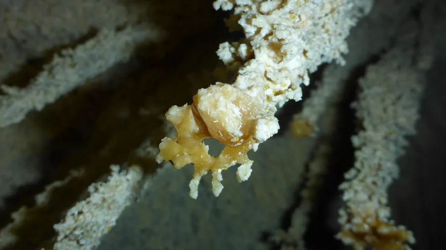 Cave speleothem formations seen during the Haggas Honking Holes adventure in Waitomo