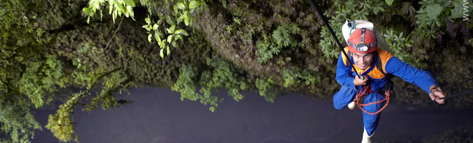 Smiling abseiler descends into a lush green canyon in Waitomo