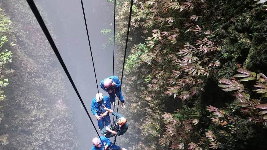 Abseiling group descending misty canyon in Waikato