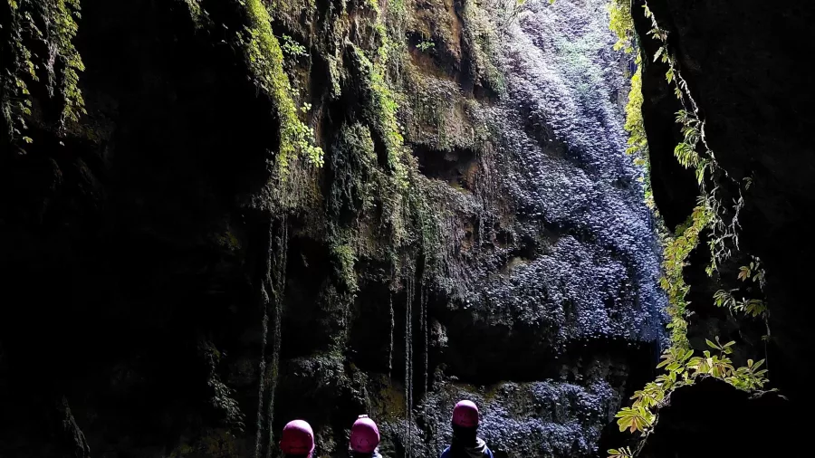 Cave entrance sinkhole expedition in Waikato