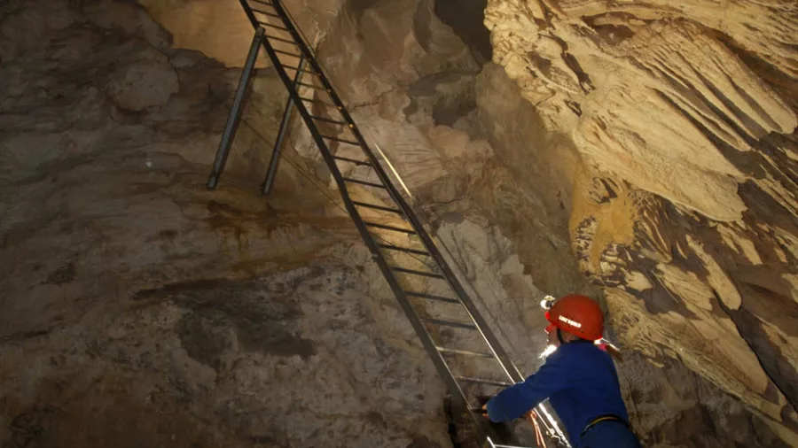 Cave ladder climb inside limestone chamber in Waitomo