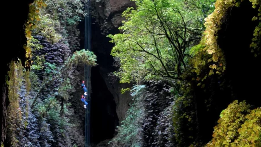 Abseiling entry into sinkhole with forest opening in Waitomo