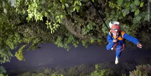 Smiling abseiler descends into a lush green canyon in Waitomo