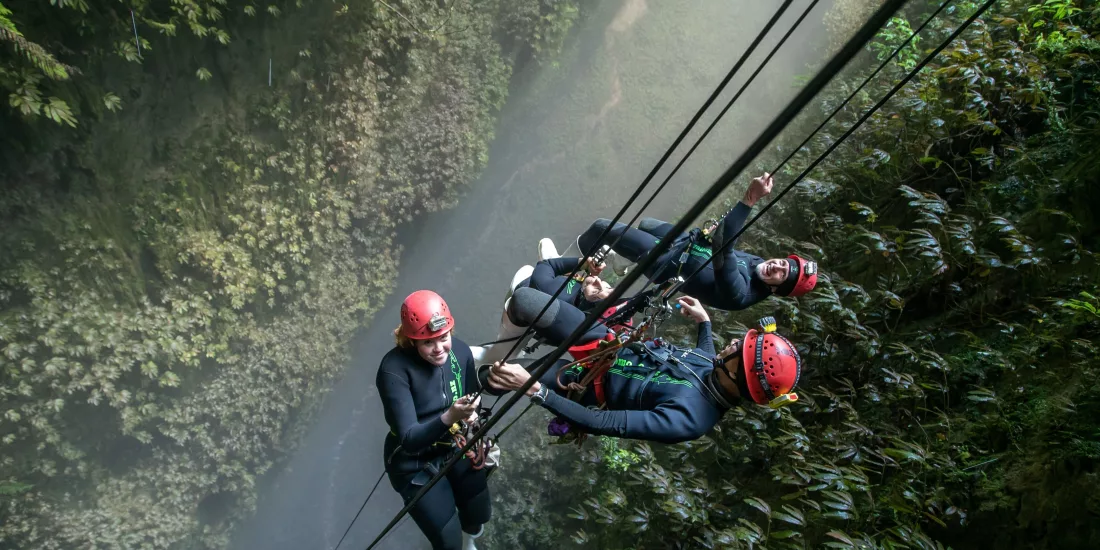 Abseiling group descending canyon in Waikato
