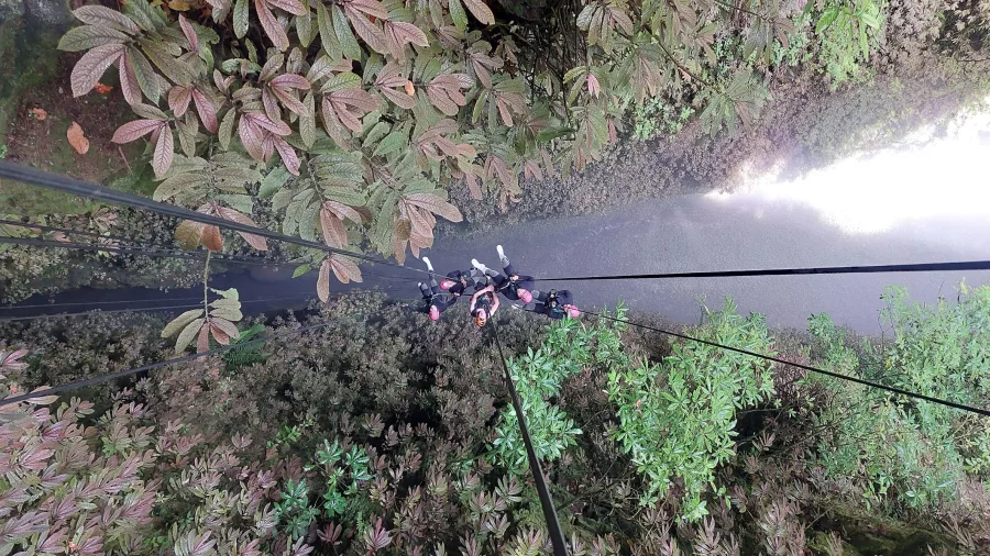 Cave abseiling descent into native forest in Waikato
