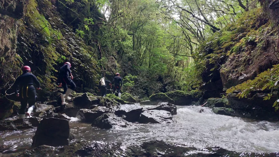 Cave river hike through native bush in Waikato
