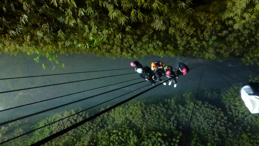 Group abseiling over forest sinkhole in Waikato