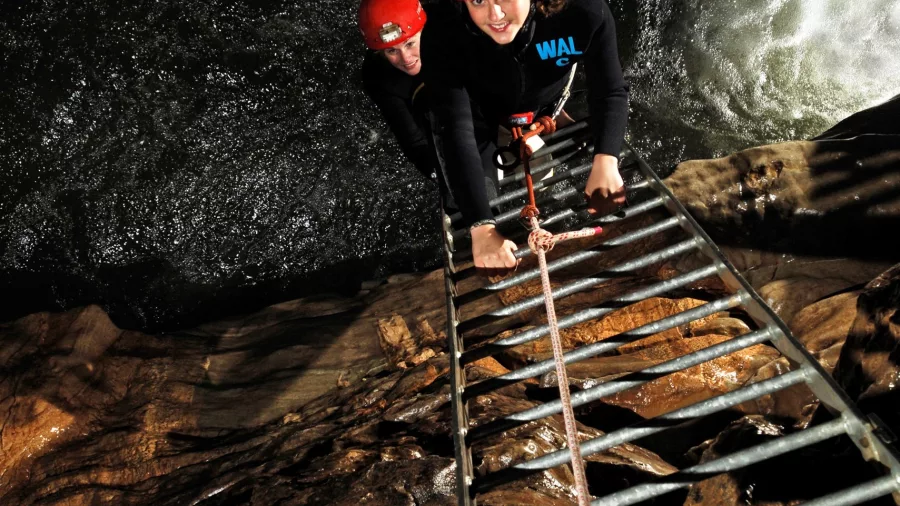 Ladder climb during caving adventure in Waitomo