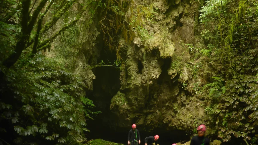 Lost World Epic forest cave entrance in Waitomo