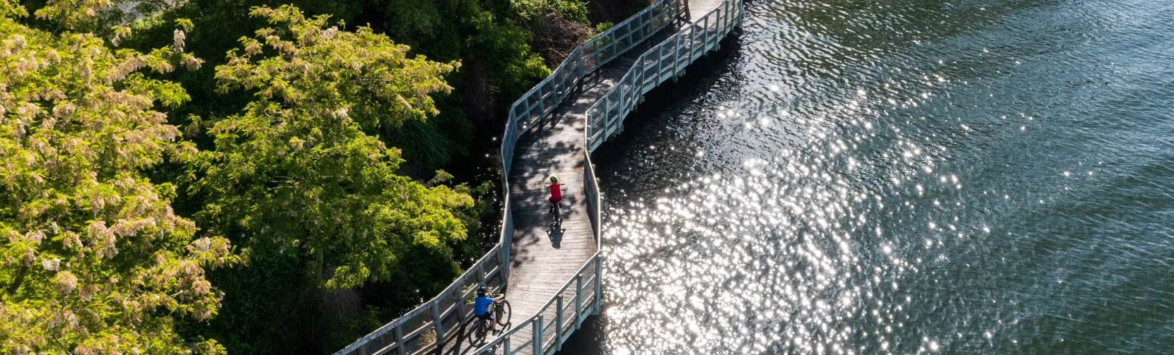 Cyclists riding along the Te Awa River Ride boardwalk beside Lake Karapiro