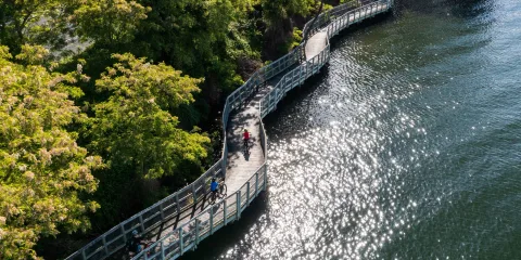Cyclists riding along the Te Awa River Ride boardwalk beside Lake Karapiro