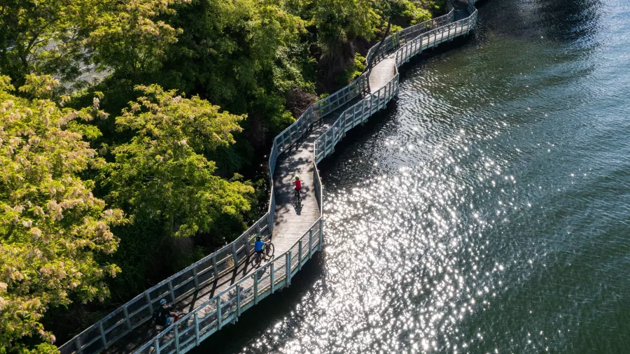 Cyclists riding along the Te Awa River Ride boardwalk beside Lake Karapiro