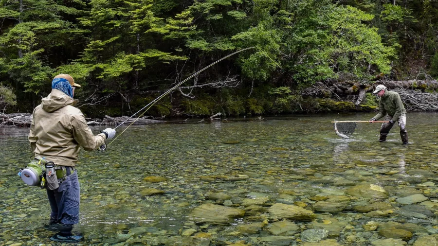 Two anglers fly fishing in the clear waters of Turangi, New Zealand, with one casting a line and the other ready with a net.