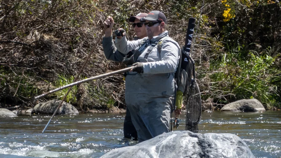 Fly fishing guide assisting an angler on the Tongariro River in New Zealand, surrounded by yellow flowering shrubs.