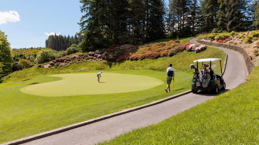 Golfers playing on the green at Wairakei Golf Course and Wildlife Sanctuary in Taupō, New Zealand.