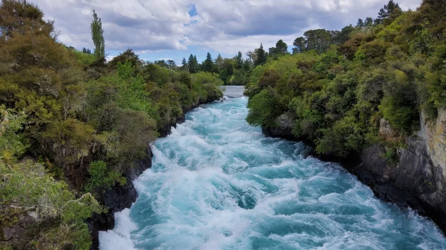 Huka Falls powerful turquoise rapids rushing through forested gorge on the Waikato River near Taupō, New Zealand