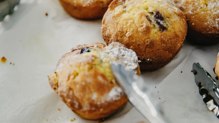 Homemade blueberry muffins served on Lake Taupō scenic cruise