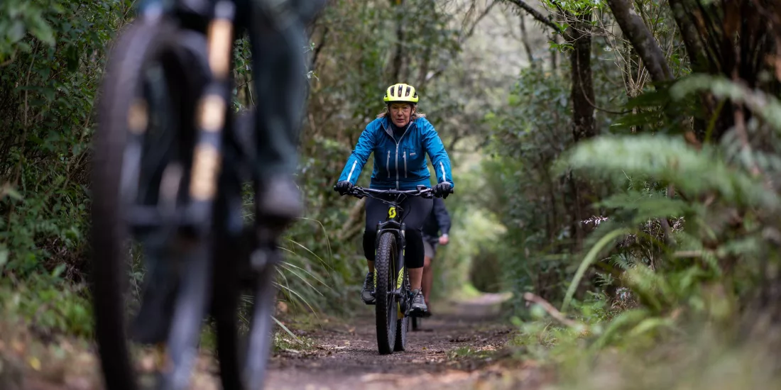 Cyclists riding through native forest on the Great Lake Trail near Taupō, New Zealand.