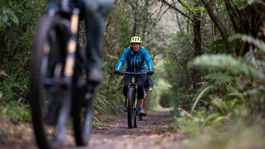 Cyclists riding through native forest on the Great Lake Trail near Taupō, New Zealand.