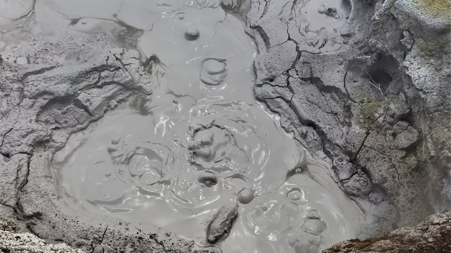 Bubbling grey mud pool in active geothermal area at Orakei Korako