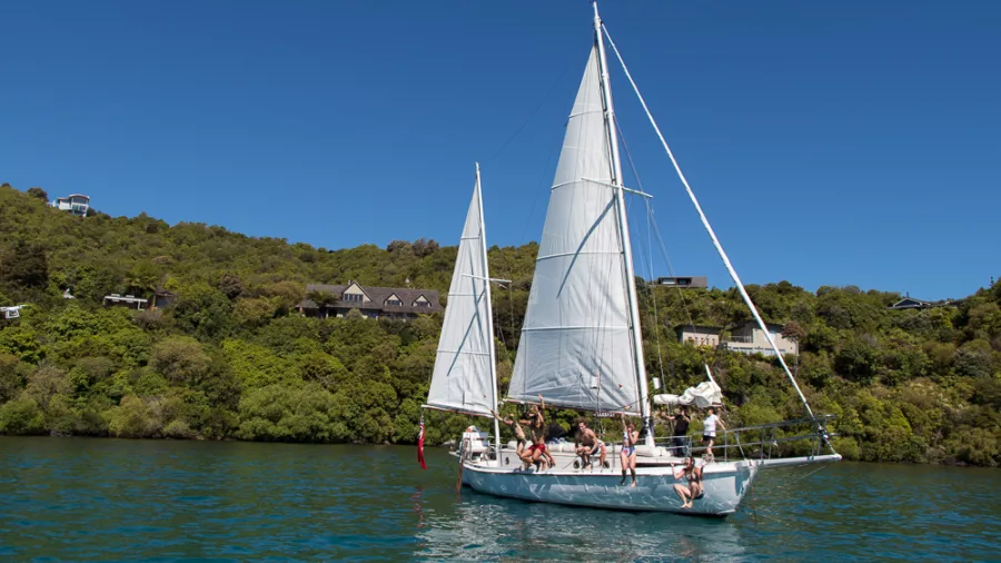 Group of people jumping off Sail Barbary into Lake Taupō for a swim