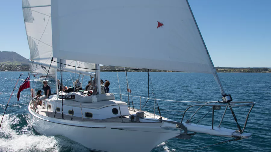 Electric sailboat cruising Lake Taupō with passengers enjoying the sunshine