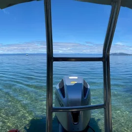 Panoramic view of crystal-clear waters and native bush from the back of a boat in Kotukutuku, Taupō