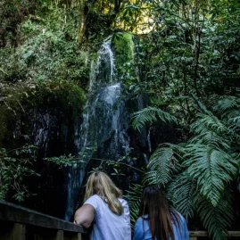 Two women standing on a wooden platform in front of a small forest waterfall surrounded by lush ferns in Taupō