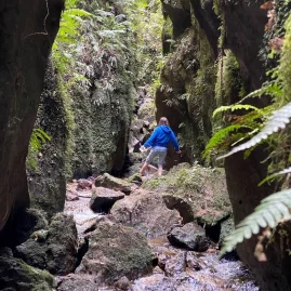 Person walking through a mossy ravine with flowing stream and towering rock walls in Taupō
