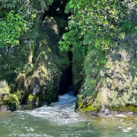 Lake inlet with mossy rock walls and flowing water at a hidden waterfall in Waitomo