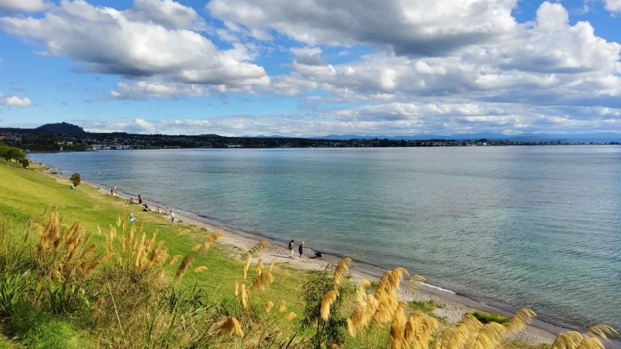 Scenic shoreline of Lake Taupō with calm blue waters, grassy banks, and expansive skies in New Zealand