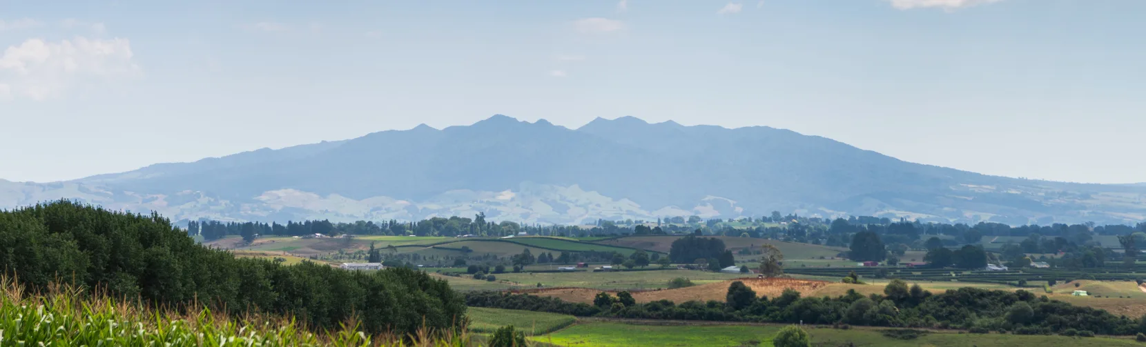 Scenic landscape view of Mt Pirongia with lush farmland near Te Awamutu in the Waikato region, New Zealand.