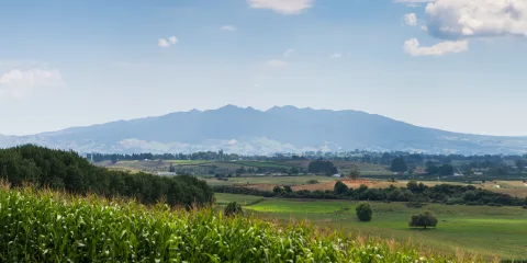 Scenic landscape view of Mt Pirongia with lush farmland near Te Awamutu in the Waikato region, New Zealand.