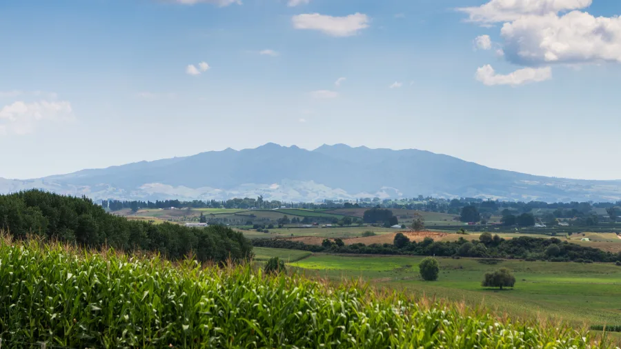 Scenic landscape view of Mt Pirongia with lush farmland near Te Awamutu in the Waikato region, New Zealand.